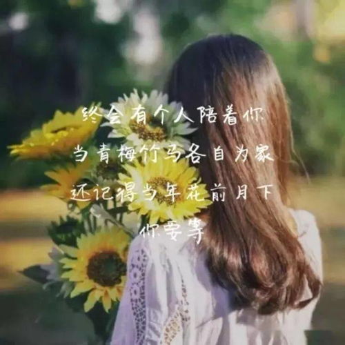 高質(zhì)量文案句子正能量