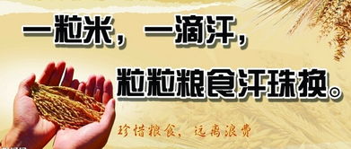 勤儉節約的經(jīng)典句子,勤儉節約的勵志句子,關(guān)于勤儉節約的好句子