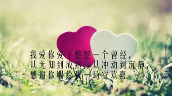 愛(ài)情感悟正能量的句子