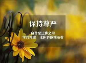 早安語錄正能量適合發(fā)朋友圈早安的句子,早安語錄正能量的句子2021,早安語錄正能量的句子勵(lì)志的句子
