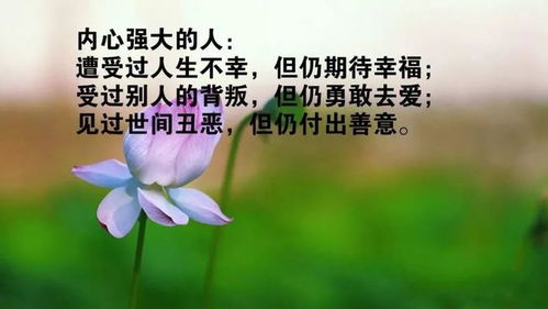 早晨工作正能量勵志的句子,早起工作正能量勵志的句子,工作勵志的句子正能量
