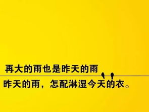 英文,句子,能量,心靈雞湯
