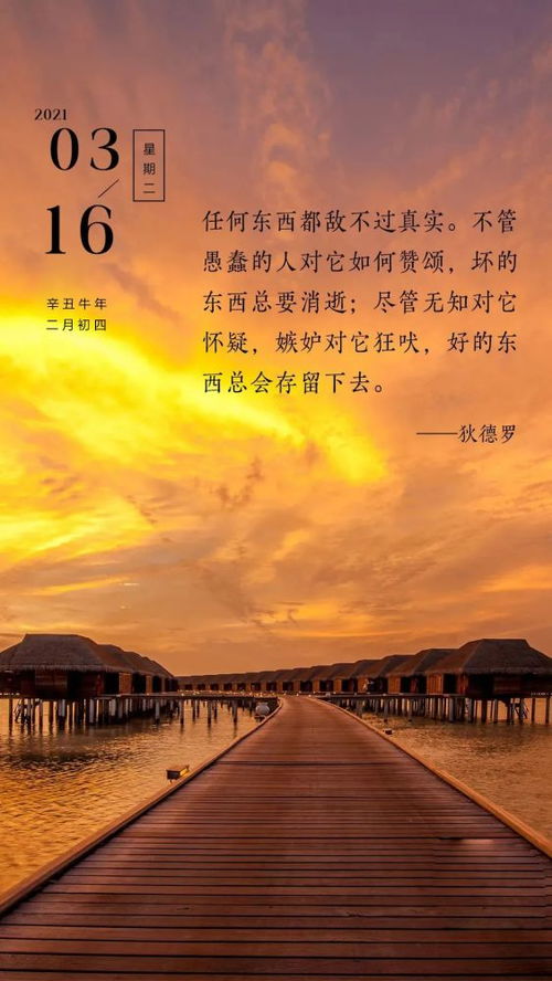 正能量的晨語(yǔ)經(jīng)典句子,晨會(huì )陽(yáng)光正能量的句子,陽(yáng)光勵志正能量的句子