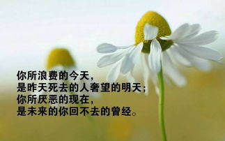 早上好勵志正能量朋友圈句子大全,早安勵志正能量的句子朋友圈,勵志正能量滿滿的句子朋友圈
