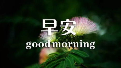 早安,句子,能量,心情