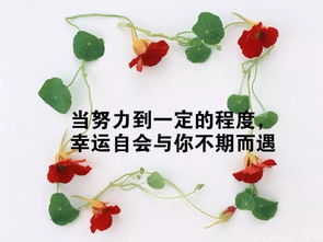 關(guān)于國家正能量的句子