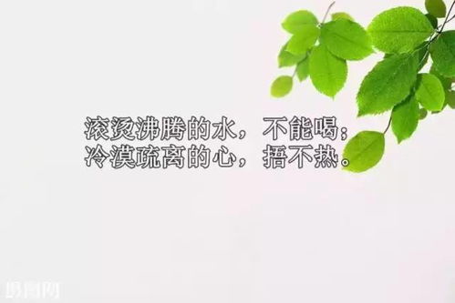 正能量雞湯句子最新
