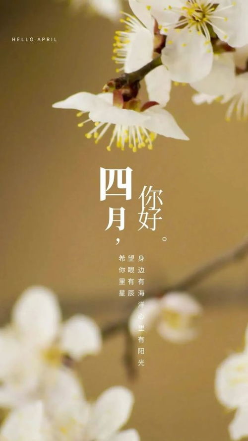 句子,能量