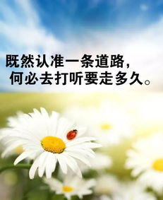 正能量句子長(zhǎng)一下