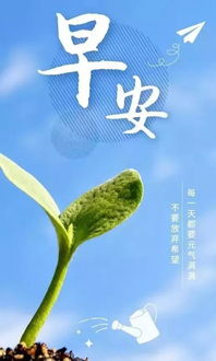 發(fā)朋友圈的讀書句子正能量陽光