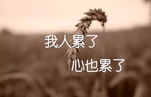 生活好累好壓抑的句子正能量,生活勵志的句子正能量,生活不易的句子正能量