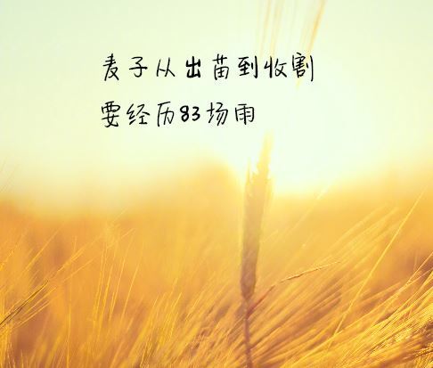 哲理正能量句子說(shuō)說(shuō)心情
