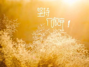 句子,唯美,能量,陽(yáng)光