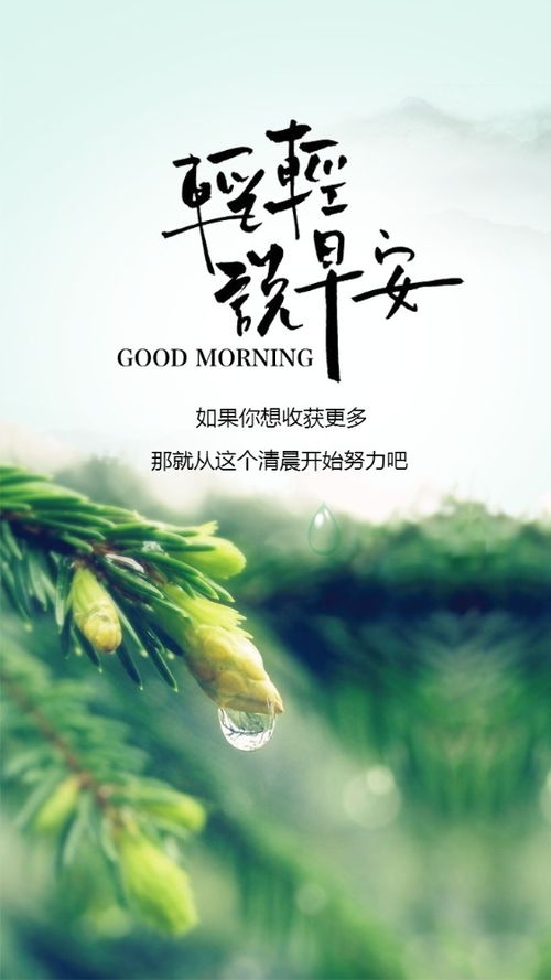 早安,句子,能量