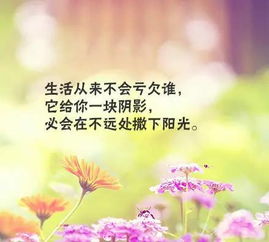 正能量句子勵志短句子,正能量滿(mǎn)滿(mǎn)的勵志句子,正能量句子勵志短句子朋友圈