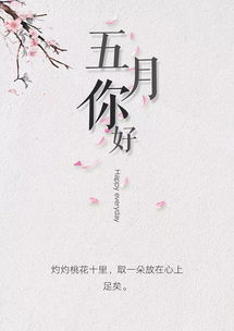 今日勵志語(yǔ)錄正能量句子,早晨勵志語(yǔ)錄正能量句子,創(chuàng  )業(yè)勵志語(yǔ)錄正能量句子