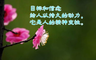 句子,唯美,能量,浪漫