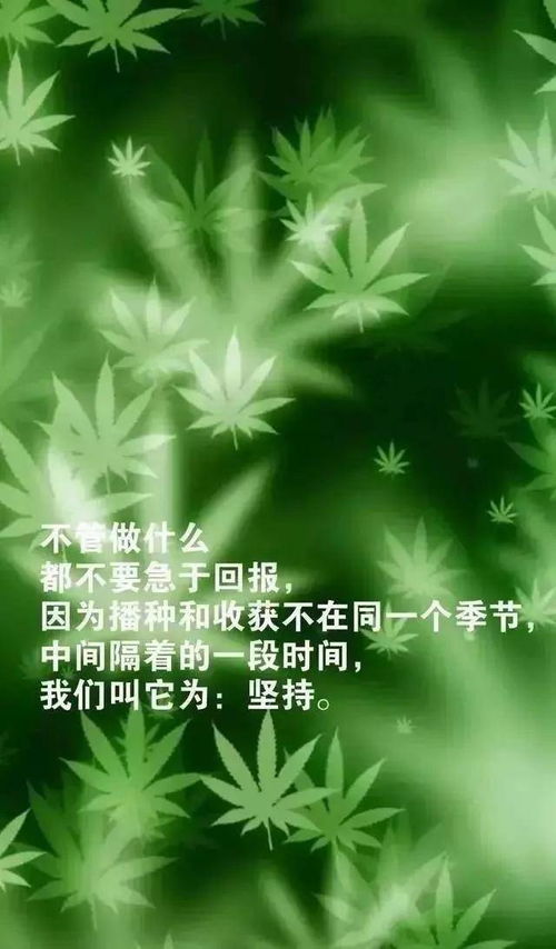 適合發(fā)朋友圈早安正能量的句子