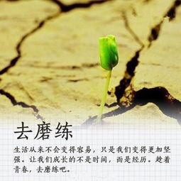 句子,能量,自信,女人