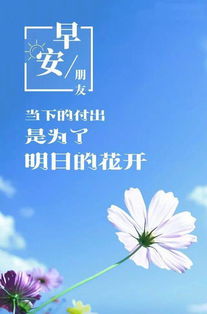 正能量激勵學(xué)生的短句子,對學(xué)生充滿(mǎn)正能量激勵的句子,激勵學(xué)生的句子正能量