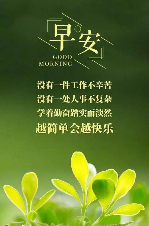 句子,勵志,感恩,能量