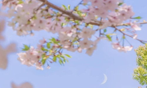 充滿(mǎn)陽(yáng)光的句子正能量的句子,新的一天充滿(mǎn)陽(yáng)光正能量的句子,早上充滿(mǎn)陽(yáng)光正能量的句子