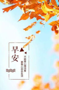 早安正能量的經(jīng)典句子