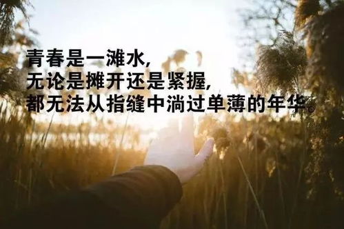 莫言富有人生哲理的句子,好心態(tài)的人生哲理正能量句子,富有人生哲理的優(yōu)美句子