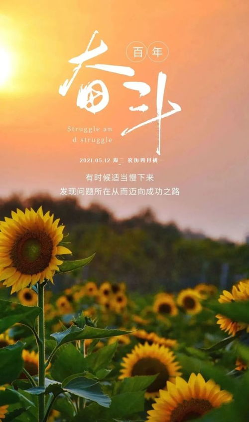 關(guān)于早晨陽(yáng)光的句子正能量