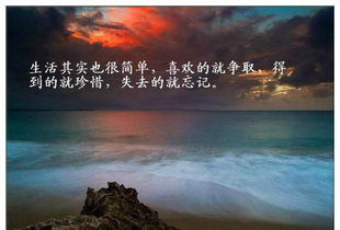 關(guān)于認真堅持的正能量的句子