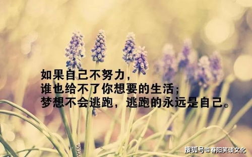 句子,能量,下雨,早上