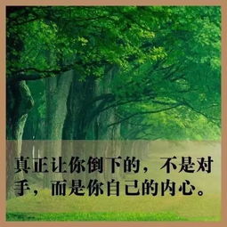 青春正能量句子勵志短句子,正能量句子勵志短句子,正能量句子勵志短句子朋友圈