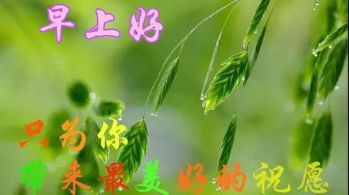 充滿(mǎn)陽(yáng)光的句子正能量早安的句子高考