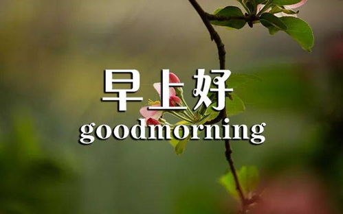 下雨正能量的句子朋友圈,早上滿(mǎn)滿(mǎn)的正能量句子,早上正能量吸引朋友圈的句子