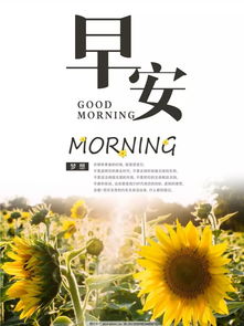 女人賺錢(qián)的正能量句子,女人早安正能量的句子和大全,早安努力賺錢(qián)正能量句子