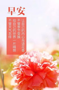 讀書(shū)正能量勵志的句子,讀書(shū)朋友圈正能量句子,關(guān)于堅持讀書(shū)的正能量句子