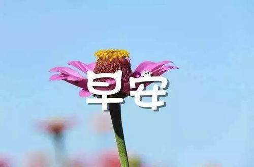 短語(yǔ),句子,能量,美好