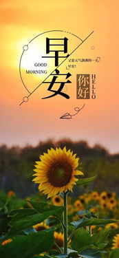 節日值班的正能量句子,愛(ài)自己的正能量句子,熱愛(ài)祖國正能量的句子