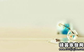 有關(guān)緣分的正能量句子