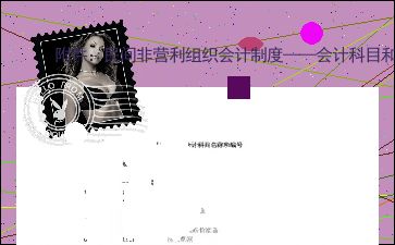 非營(yíng)利組織會(huì )計制度的會(huì )計科目使用說(shuō)明