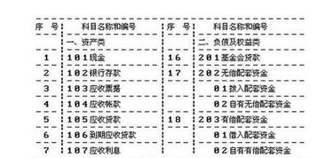 dr在會(huì )計科目里表示什么意思