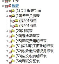 現金流量表,會(huì )計科目,查詢(xún)