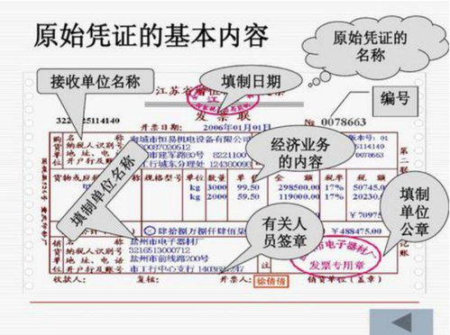 總預(yù)算,財(cái)政,會(huì)計(jì)科目,包括