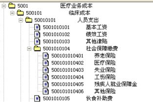 會(huì )計科目及科目代碼一覽表,工作服會(huì )計科目做什么科目,會(huì )計科目二級科目明細表