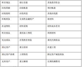 資產(chǎn)未啟用會(huì )計科目