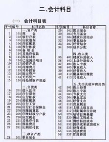 204會計(jì)科目