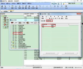 金蝶會計科目改成數(shù)量金額