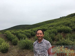 旅游費的會(huì )計科目