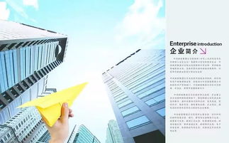 保密,會計科目,設(shè)置,企業(yè)