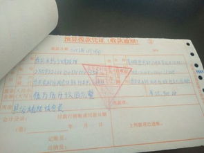 退耕還林會(huì )計科目